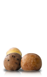 Timbits<sup>MD</sup>